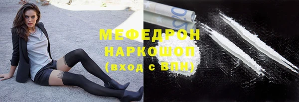 spice Богородицк