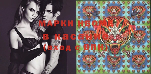 spice Богородицк
