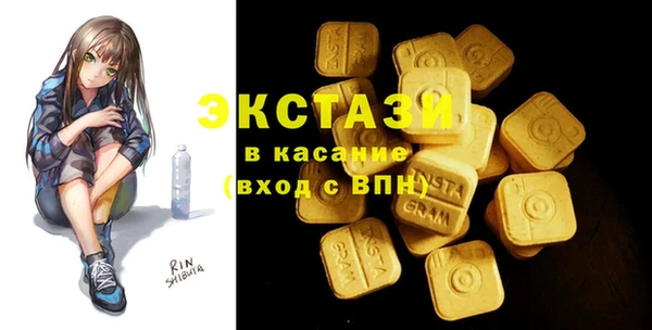 spice Богородицк