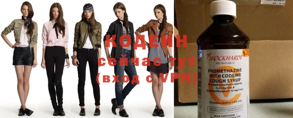 гашик Богданович
