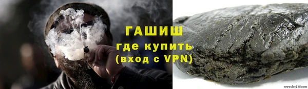 spice Богородицк