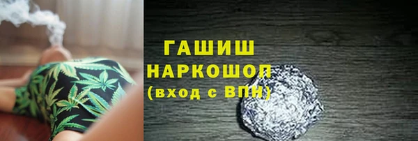 spice Богородицк