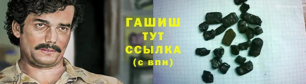 гашик Богданович
