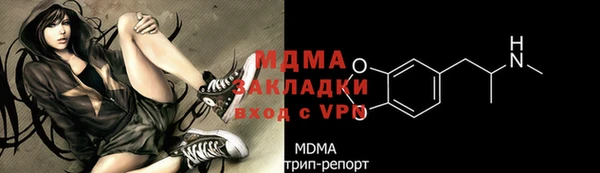 гашик Богданович