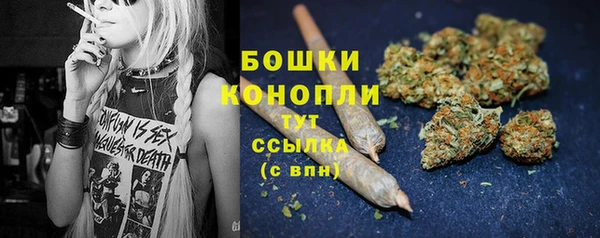гашик Богданович