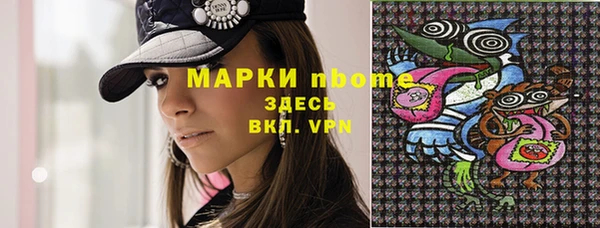 гашик Богданович