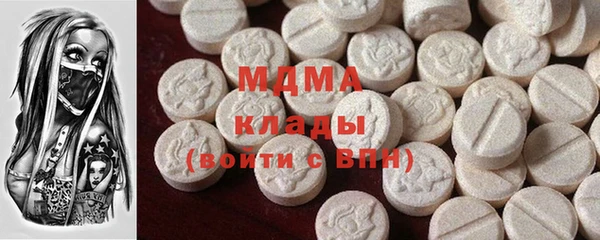 spice Богородицк