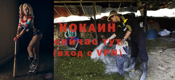 гашик Богданович