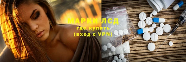 гашик Богданович