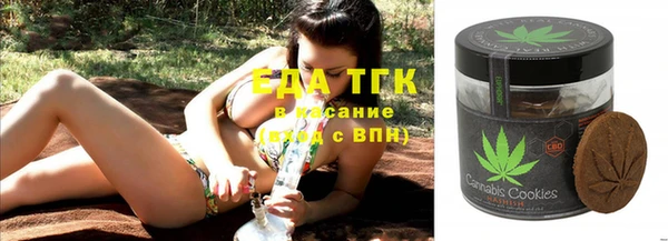 spice Богородицк